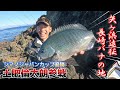 【宇和海遠征】全遊動VS半遊動!釣れるのはどっちだ?(矢ヶ浜/長崎バナ/前編)