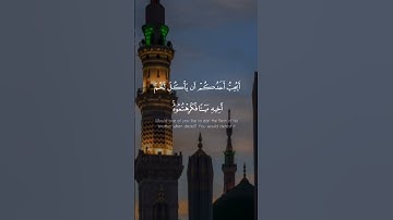تلاوه جميله للشيخ.د.بدر التركي