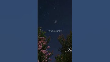 ان الله يغفر الذنوب جميعا❤ القارئ ماهر المعيقلي🤍 قناة نور على نور للقرآن الكريم ✅