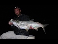 Matt’s first Miami Tarpon