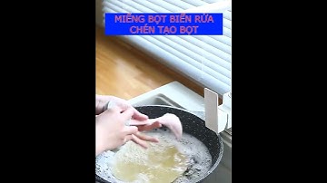 MIẾNG BỌT BIỂN RỬA CHÉN TẠO BỌT