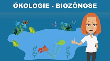 Was ist ein Biotop für Kinder leicht erklärt?
