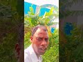 Yeshu me je rahela ✝️ Sadri christian song # yeshu song # jesus # bible ✝️🙏