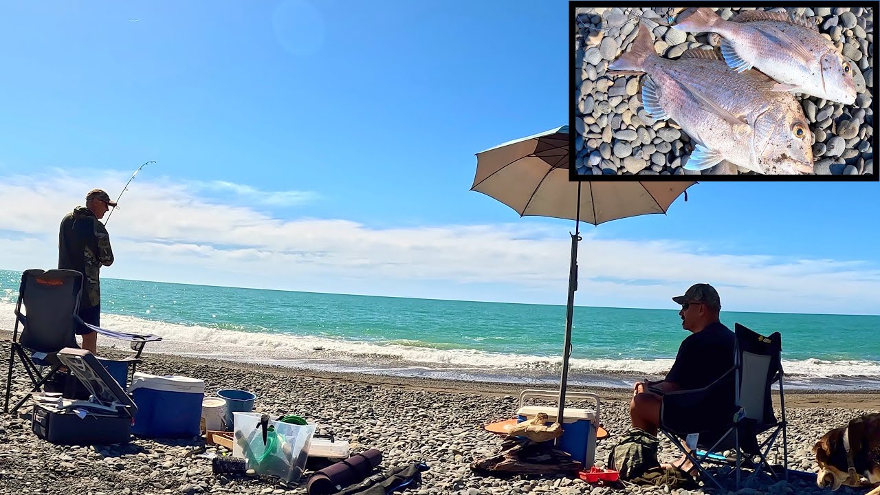 Fun Day Catching Snapper at 300m with Condor A22 Drone - Catch & Cook ...