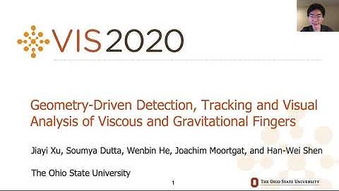 Geometry-Driven Detection, Tracking and Visual Analysis of Viscous and Gravitational Fingers