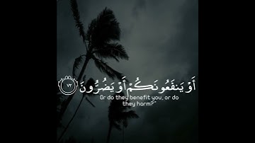سورة الشعراء | القارئ اسلام صبحي #اكتب_شي_تؤجر_عليه #quran #قران_كريم