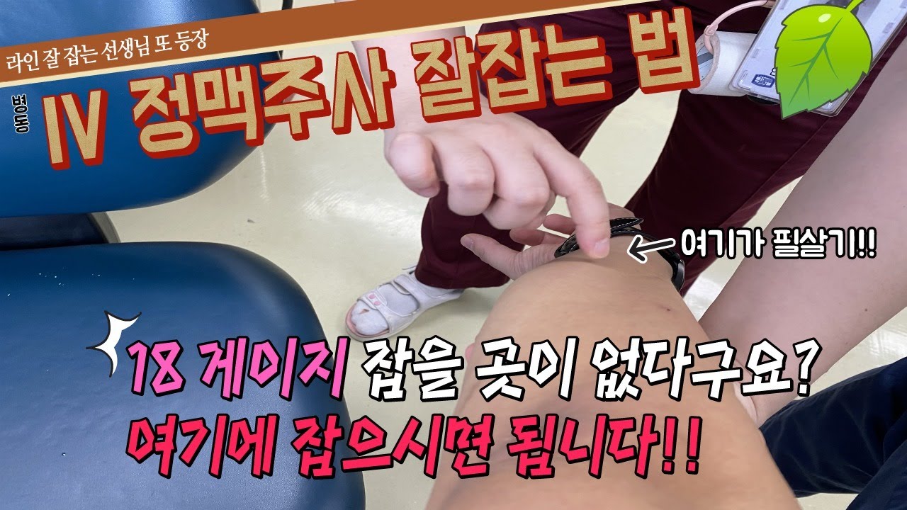 IV 정맥주사 놓는법  18G 잡을 곳이 정말 없다면!? 18게이지 잡기 2탄