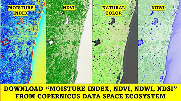 Download Moisture Index, NDVI, NDWI, NDSI from Copernicus Data Space Ecosystem