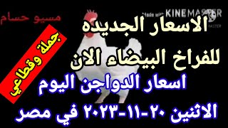 اسعار الفراخ البيضاء اليوم اسعار الدواجن اليوم الاثنين ٢٠-١١-٢٠٢٣ جمله وقطاعي فى مصر