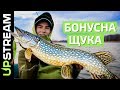 ВЕЛИКА ЩУКА озера Кричевичі / КРУПНАЯ ЩУКА озера Кричевичи | UPSTREAM