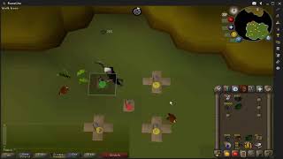 3-Tick into 0-Tick Hunting Cycle Example