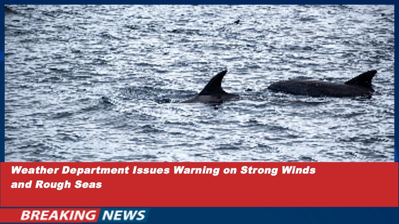 Sri Lanka Weather Alert: Strong Winds & Rough Seas Warning