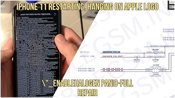 iPhone 11 Restarting Issue (Charging-Audio Problem) \"_enablehalogen:4085 Unknown Rate Panic Repair