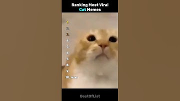 Ranking Most Viral Cat Memes