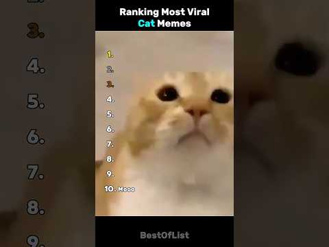 Ranking Most Viral Cat Memes
