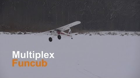 Multiplex Funcub