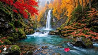 Powerful Healing Relaxation 🌿 Calms Anxiety, Releases Stress and Restores Peace