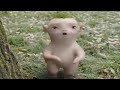 Monster Hunt 2 – טריילר