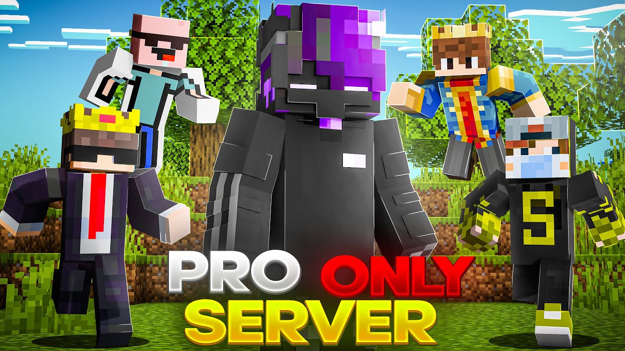 I Joined a 'PRO ONLY' Minecraft Server - YouTube