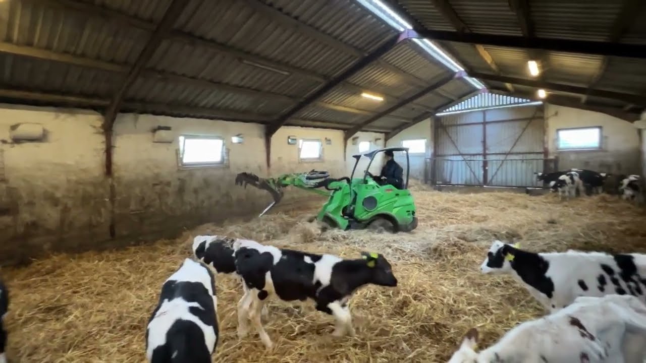 Efficiently Feeding Hay To Cattle Reducing Losses When Feeding Hay To Efficiently Feeding Hay To Cattle Reducing Losses When Feeding Hay To