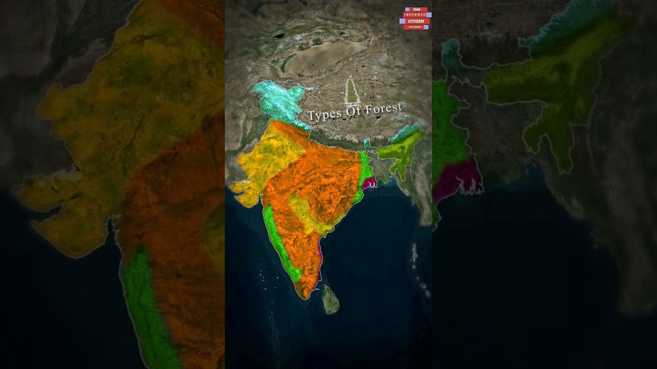All Types Of Forest in India. #shorts