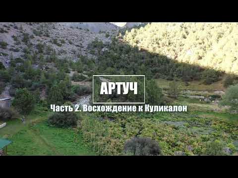 Куликалонская стена