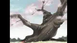 Kokoro,Kokoro-Kiseki (vietsub)