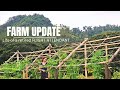 Farm Update | We are almost done with the 3rd Layer Building