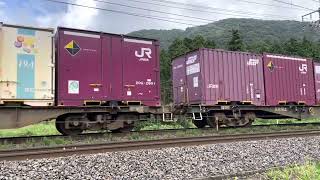JR freight trains pulled by class EF65 locomotives.