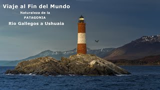 Viaje al Fin del Mundo - Rio Gallegos hasta Ushuaia - Naturaleza de la Patagonia