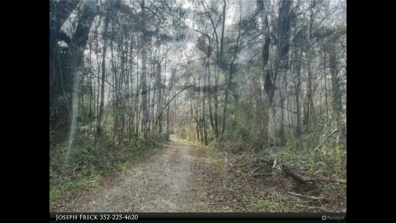 Homes for Sale - 3726 NW 67TH STREET, GAINESVILLE, FL