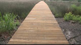 Jacksonville dock builder jailed