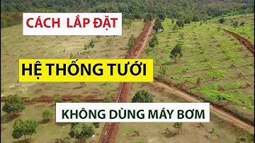Cách lắp đặt hệ thống tưới sầu riêng địa hình dốc  nước tự chạy  tưới cây   không dùng tới máy  bơm