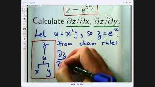 Partial Derivative: Chain Rule