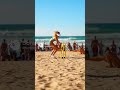 Bikini beauties practicing cricket on the beach!
