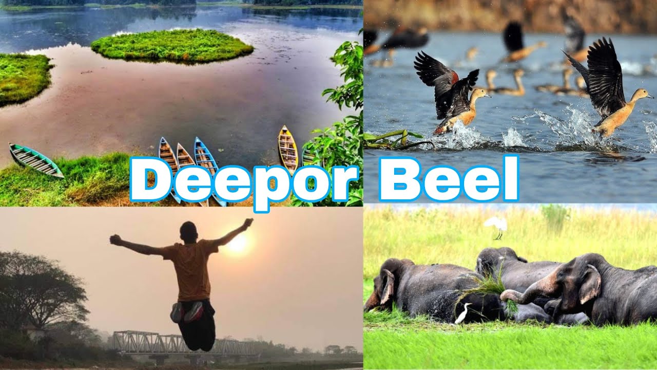 TRAVELLING TO DEEPOR BEEL WILDLIFE SANCTUARY | WITH MY FRIEND VLOG