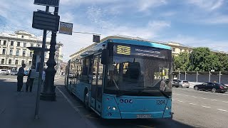 картинка: Автобус, маршрут №50 МАЗ-216.066 б.1204 (09.06.2021) Санкт-Петербург