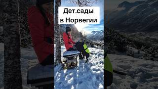 Детские сады Норвегии #жизньвнорвегии #норвежцы #норвегия