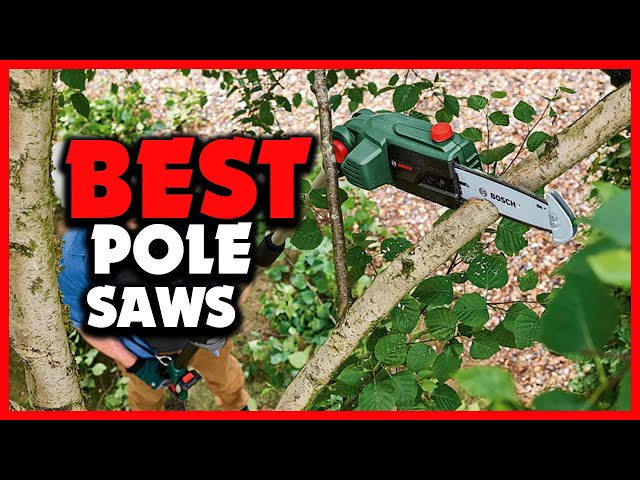 5 Best Pole Saws (2024 Guide) - This Old House