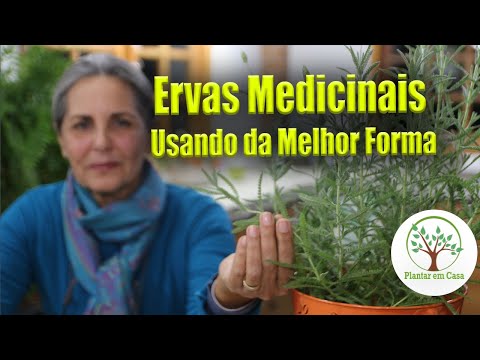 Vídeo: Usando Ervas Medicinais