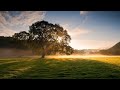 Relaxing Music To Help You Welcome A New Day Full Of Energy | Music Help Focus Work