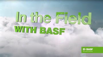 Soy Seed Testing for High Quality Soybeans