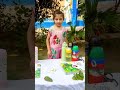 Learning, Growing & Achieving | School Activity Highlights