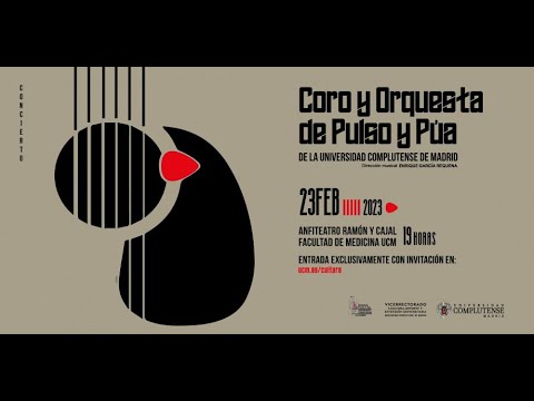 Concierto Coro y Orquesta de Pulso y Púa