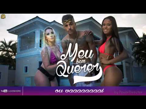 Mc livinho-meu bem querer