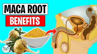 9 Maca Root Benefits You’ll Be Amazed To Know screenshot 3