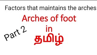 ARCHES OF FOOT part 2/Arches of foot in Tamil/factors responsible for the maintanence of foot arches
