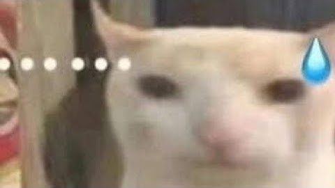 KỸ NĂNG GIAO TIẾP - GIỚI THIỆU BẢN THÂN - ĐẠI HỌC NTT