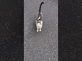 猫様エンカウントで先制された件 #突然#猫島#エンカウント