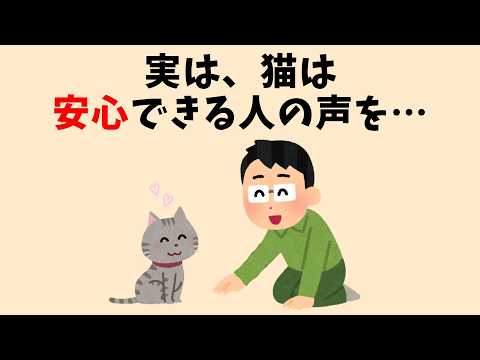 猫のかわいい雑学 #猫 #雑学 #豆知識 #聞き流し #ねこのサムネイル